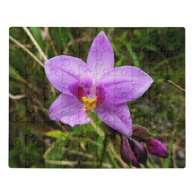 Wild Orchid Purple Tropical Flower Jigsaw Puzzle (Puzzle Horizontal)