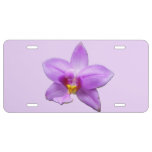 Wild Orchid Purple Tropical Flower License Plate