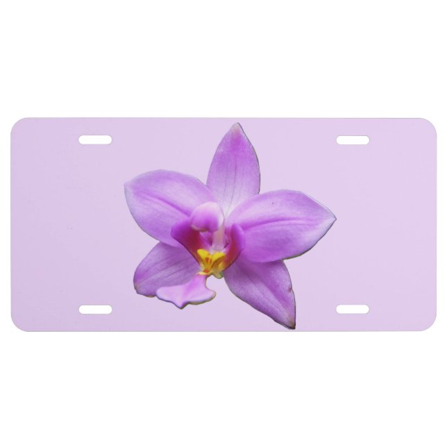 Wild Orchid Purple Tropical Flower License Plate (Front)