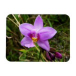 Wild Orchid Purple Tropical Flower Magnet