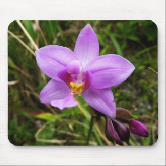 Wild Orchid Purple Tropical Flower Mouse Pad