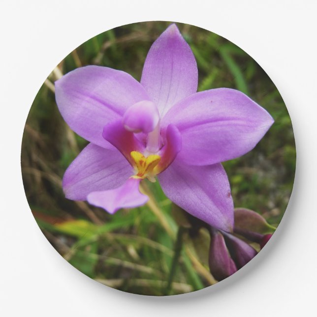 Wild Orchid Purple Tropical Flower Paper Plates (Front)