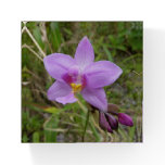 Wild Orchid Purple Tropical Flower Paperweight