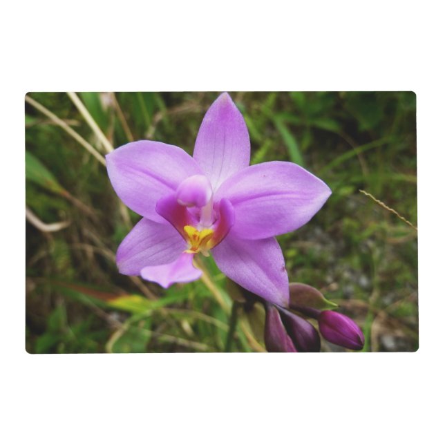 Wild Orchid Purple Tropical Flower Placemat (Front)