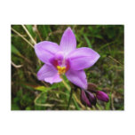 Wild Orchid Purple Tropical Flower Postcard