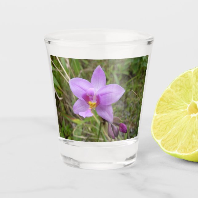 Wild Orchid Purple Tropical Flower Shot Glass (Front)