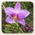 Wild Orchid Purple Tropical Flower Square Paper Coaster