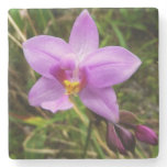 Wild Orchid Purple Tropical Flower Stone Coaster