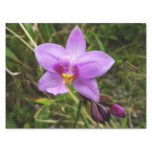 Wild Orchid Purple Tropical Flower Tissue Paper