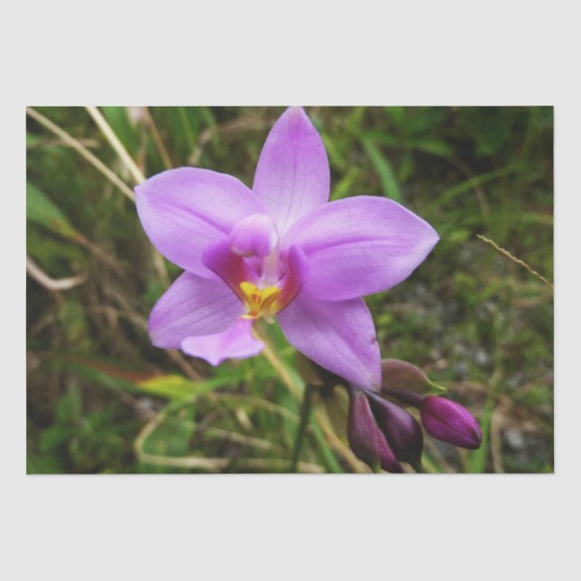 Wild Orchid Purple Tropical Flower Tissue Paper (Front)
