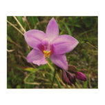 Wild Orchid Purple Tropical Flower Wood Wall Decor