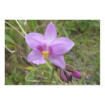 Wild Orchid Purple Tropical Flower Wrapping Paper Sheets