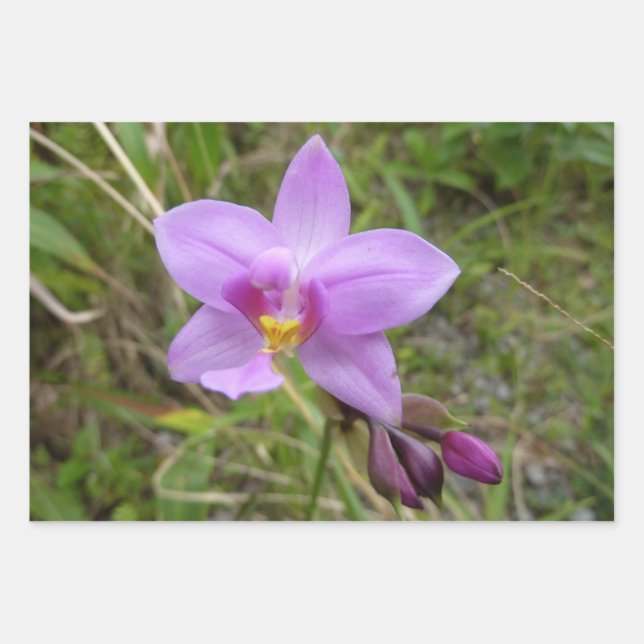 Wild Orchid Purple Tropical Flower Wrapping Paper Sheets (Front)