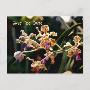 Wild Orchid Save The Date Postcard