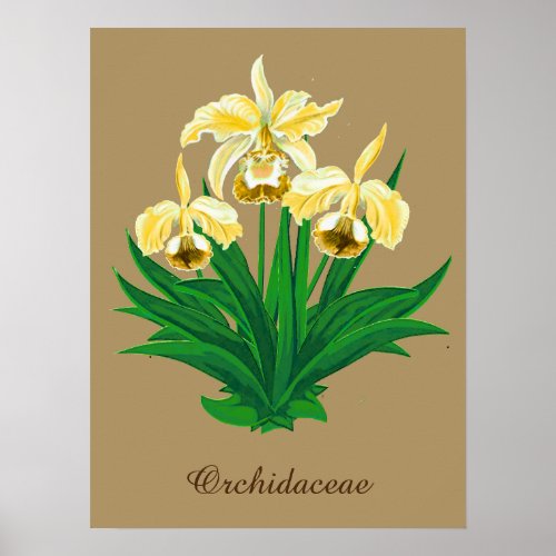 Wild Orchids _ Golden Yellow Orchids and Foliage  Poster