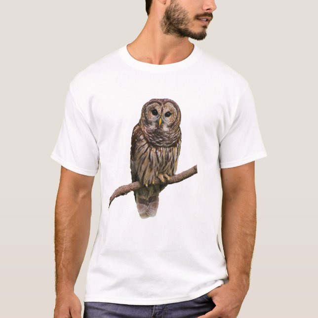 Wild Owl T-Shirt (Front)