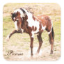 Wild Paint Horse Stallion Picasso Stickers