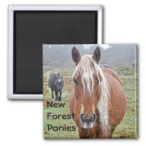 Wild Palomino New Forest Ponies Horse_lover Gift Magnet