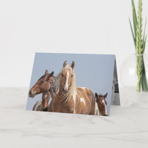 Wild Palomino Pinto Wild Horse Greeting Card