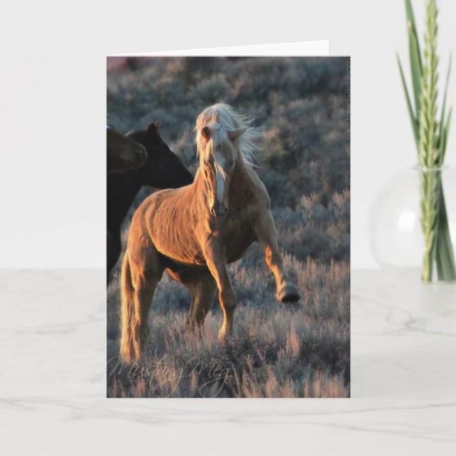 Wild Palomino Stallion Note Cards (Front)