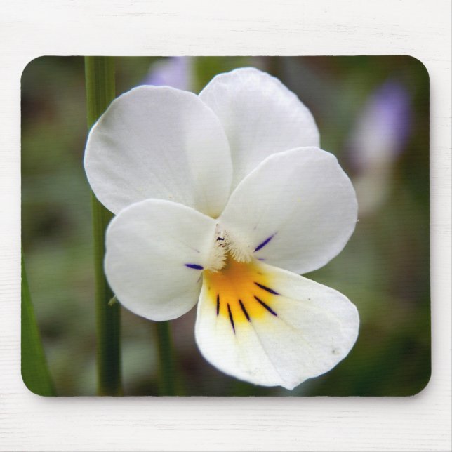 Wild Pansy Mouse Mat (Front)