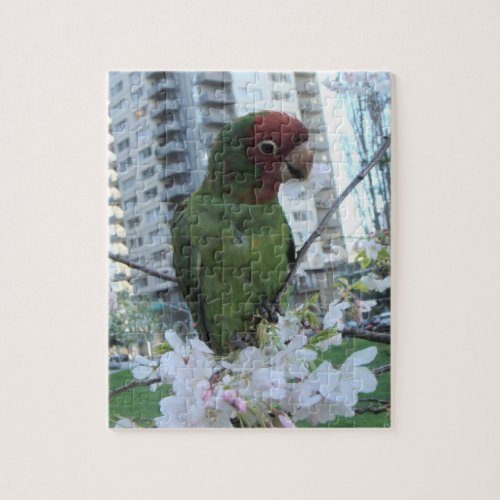 Wild Parrots Of Telegraph Hill Jigsaw Puzzle