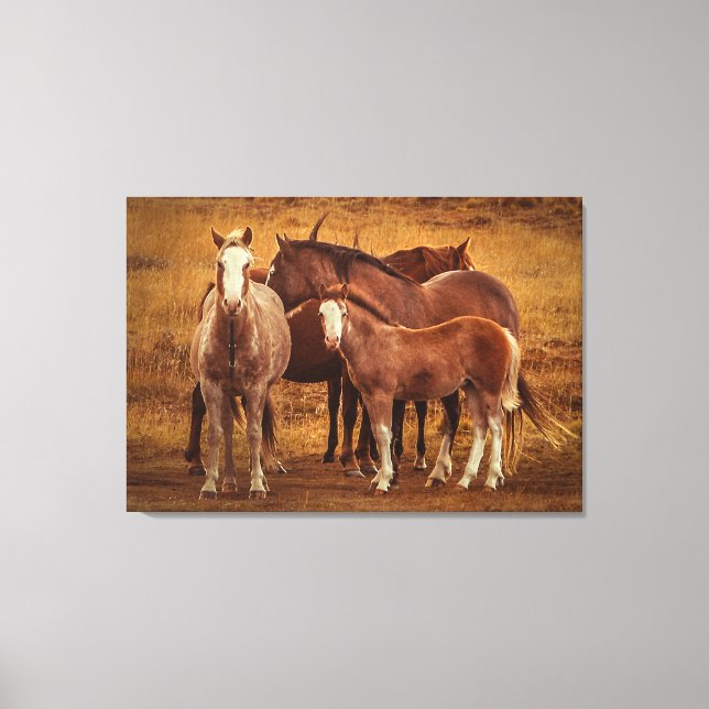 Wild Patagonia's Spirit Photography Canvas Print (Front)