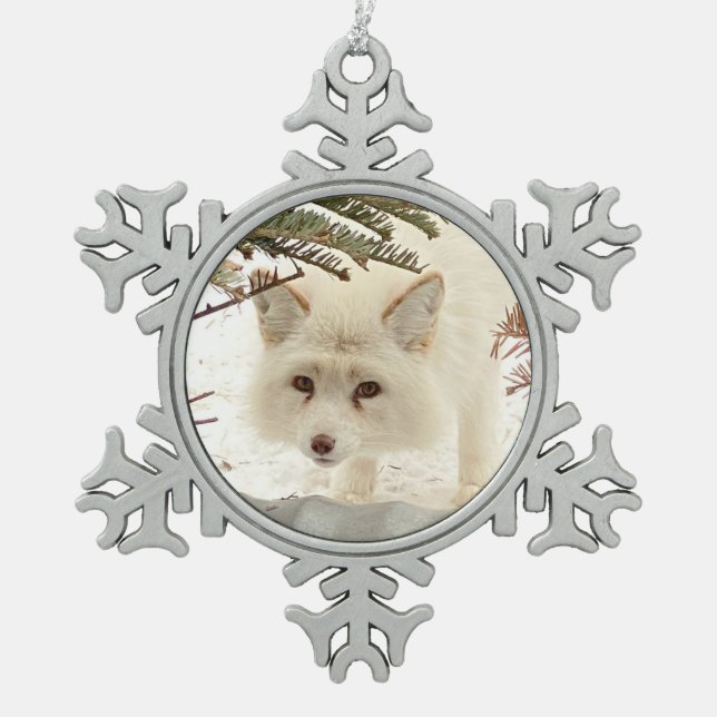 Wild Paws Coconut Snowflake Framed Ornament (Front)
