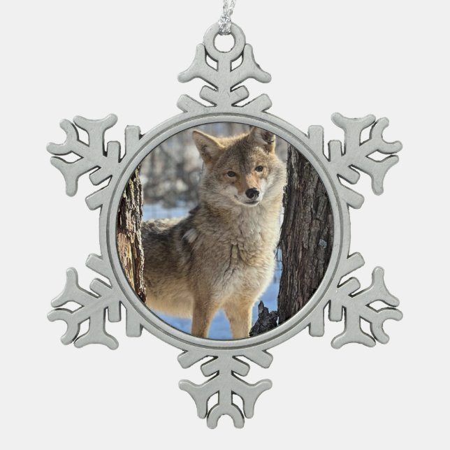 Wild Paws Daphne Snowflake Framed Ornament (Front)