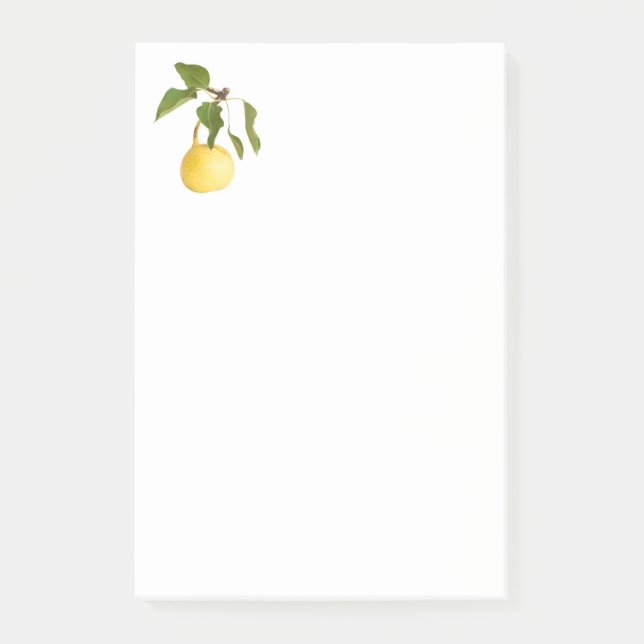 Wild pear post-it notes (Front)