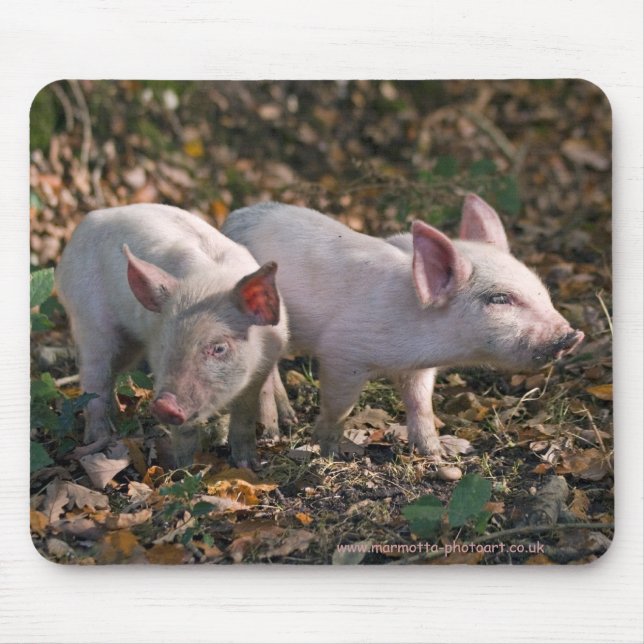 Wild Piglets Mousemat Mouse Pad (Front)