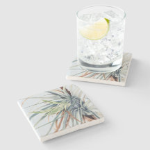 Wild Pineapple | by Mary Vaux Walcott 1921 Poster