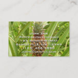 Wild Pineapple Tropical Fruit in Nature Business Card