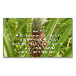 Wild Pineapple Tropical Fruit in Nature Business Card Magnet