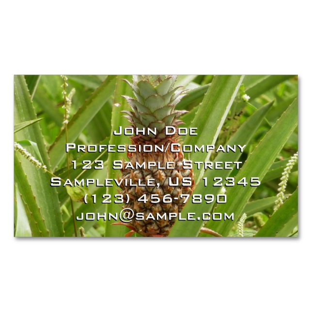 Wild Pineapple Tropical Fruit in Nature Business Card Magnet (Front)