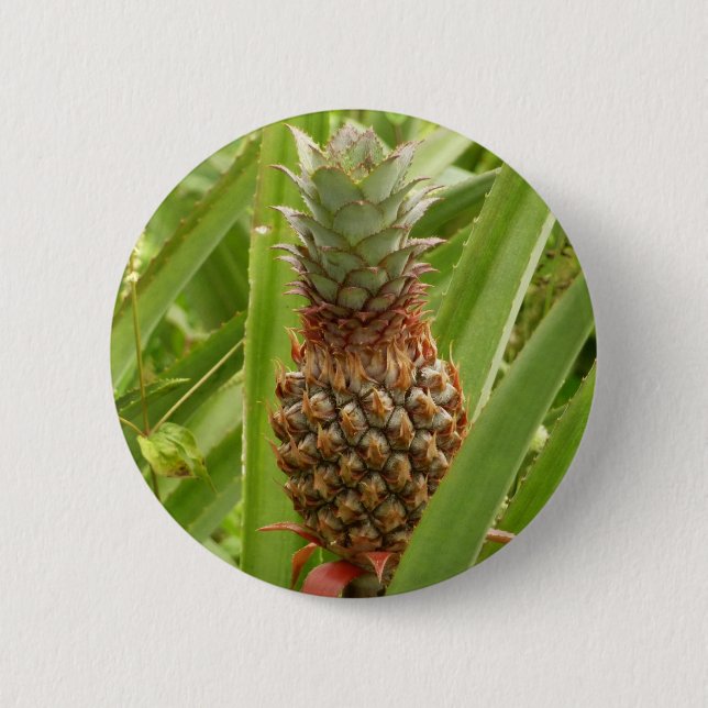 Wild Pineapple Tropical Fruit in Nature Button (Front)