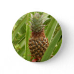 Wild Pineapple Tropical Fruit in Nature Button