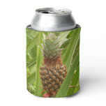 Wild Pineapple Tropical Fruit in Nature Can Cooler