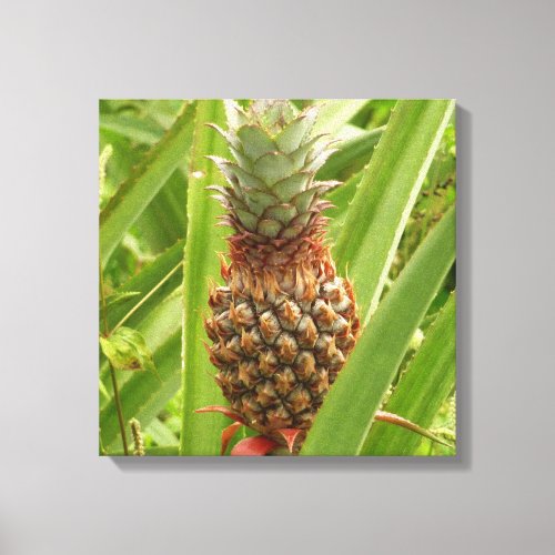 Wild Pineapple Tropical Fruit in Nature Canvas Print