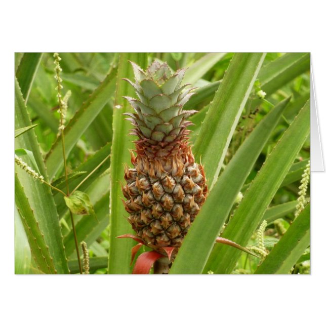 Wild Pineapple Tropical Fruit in Nature Card (Front Horizontal)