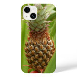 Wild Pineapple Tropical Fruit in Nature Case-Mate iPhone 14 Case
