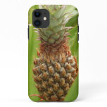Wild Pineapple Tropical Fruit in Nature iPhone 11 Case