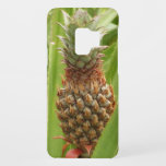 Wild Pineapple Tropical Fruit in Nature Case-Mate Samsung Galaxy S9 Case