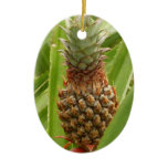 Wild Pineapple Tropical Fruit in Nature Ceramic Ornament
