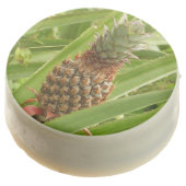 Wild Pineapple Tropical Fruit in Nature Chocolate Dipped Oreo (Angled)