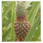 Wild Pineapple Tropical Fruit in Nature Cloth Napkin