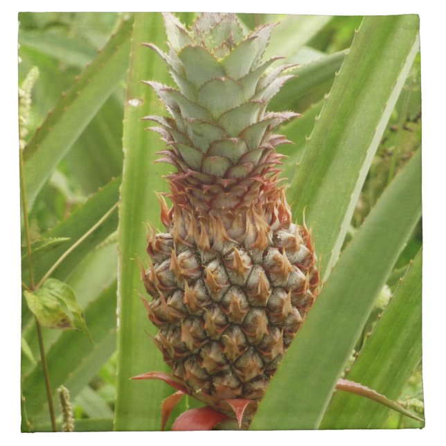 Wild Pineapple Tropical Fruit in Nature Cloth Napkin (Front)