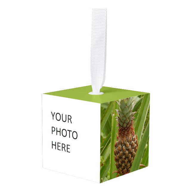 Wild Pineapple Tropical Fruit in Nature Cube Ornament (Front Angled)