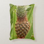 Wild Pineapple Tropical Fruit in Nature Decorative Pillow