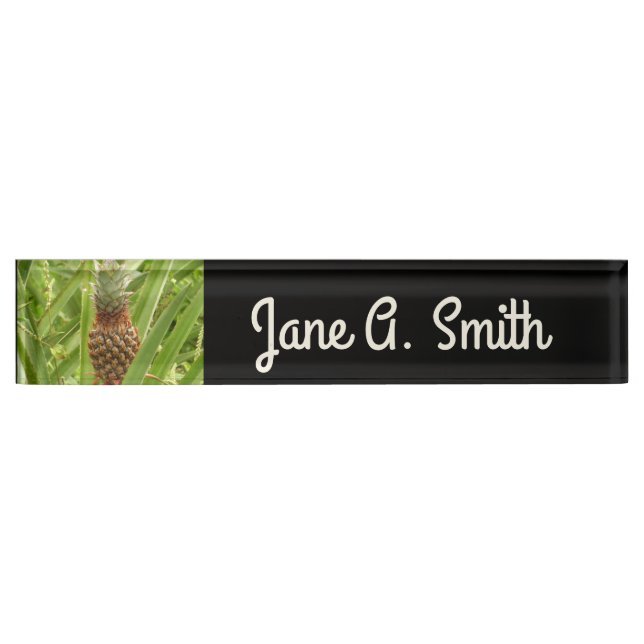 Wild Pineapple Tropical Fruit in Nature Desk Name Plate (Front)